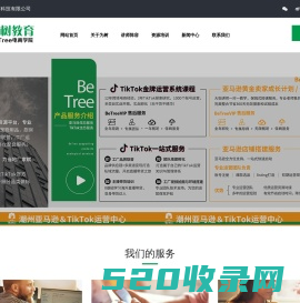 深圳为树教育科技有限公司- BeTree 电商学院 -跨境外贸平台,全球开店